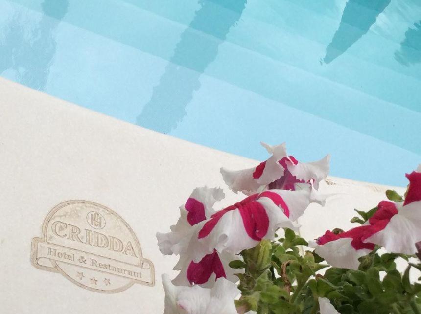 Cridda Hotel & Restaurant ジッツェリーア エクステリア 写真